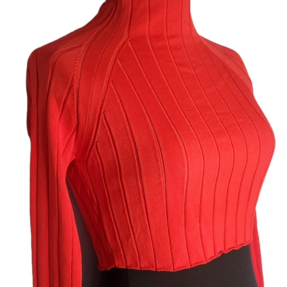 House of Harlow 1960 Revolve ribbed stretch long sleeve mock turtleneck crop top